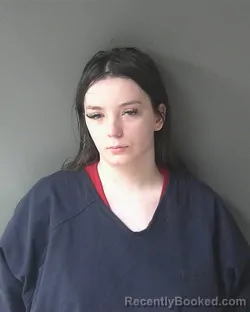 Booking photo from Clinton County, Indiana