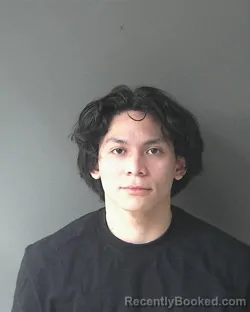 Mugshot of Hertin Martinez-quintanilla