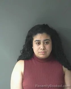Mugshot of Cinthia Alfaro-hernandez