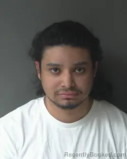Mugshot of Alberto Paguaga-ramirez
