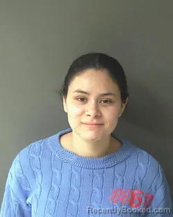 Mugshot of Glendy Perez Villalta