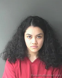 Mugshot of Yanira Gonzalez Santoyo