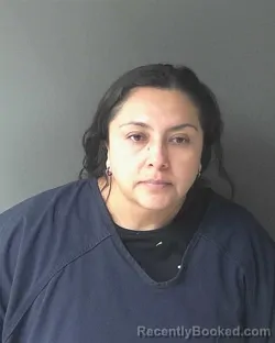 Mugshot of Evelyn Gonzalez Castaneda
