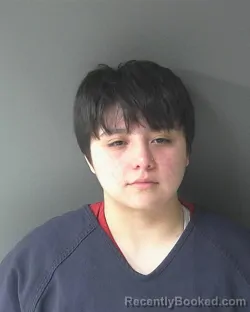 Mugshot of Alexa Cruz Mejia booked in Clinton County, Indiana on March 19, 2026