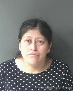 Mugshot of Adriana Sanchez De Leon booked in Clinton County, Indiana on March 19, 2026