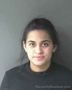 Mugshot of Angie Tejeda-rosales booked in Clinton County, Indiana on March 19, 2026