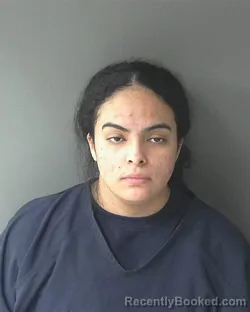 Mugshot of Elsa Herrera booked in Clinton County, Indiana on March 22, 2026