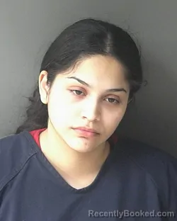 Mugshot of Destiny Loraine Martinez-flores booked in Clinton County, Indiana on March 30, 2026