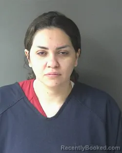 Mugshot of Esraa Hassan booked in Clinton County, Indiana on March 30, 2026