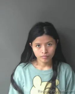 Mugshot of Elsa Choc-macz booked in Clinton County, Indiana on March 31, 2026