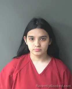 Mugshot of Angie Efrez Murillo booked in Clinton County, Indiana on March 31, 2026