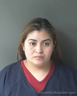 Mugshot of Damaris Talavera-marin booked in Clinton County, Indiana on April 2, 2026