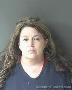 Mugshot of Drinda Ann Wilcox booked in Clinton County, Indiana on April 23, 2026