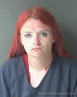 Mugshot of Demetria Alexandra Howard booked in Clinton County, Indiana on April 27, 2026