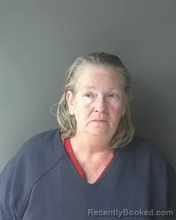 Mugshot of Robin Chestine White booked in Clinton County, Indiana on August 1, 2026