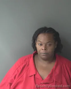 Mugshot of Shannon Alysa Young booked in Clinton County, Indiana on August 24, 2026