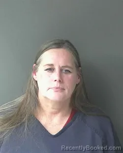 Mugshot of Alicia Dawn Wilson