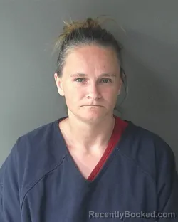 Mugshot of Nicole Lee Taylor booked in Clinton County, Indiana on June 13, 2026