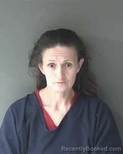 Mugshot of Nyla Dawn Henderson booked in Clinton County, Indiana on March 21, 2026