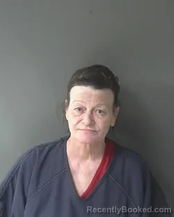 Mugshot of Glenda Elaine Lidy booked in Clinton County, Indiana on June 23, 2026