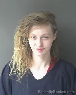 Mugshot of Breanna Michelle Wessell booked in Clinton County, Indiana on March 29, 2026