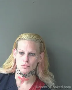 Mugshot of Stacia Jalee Pinkham booked in Clinton County, Indiana on June 19, 2026