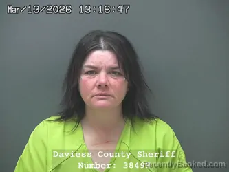 Mugshot of THERESA FAYE LEWIS