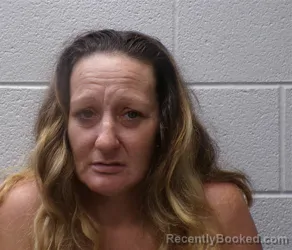 Mugshot of Jennifer Susan Wilson booked in Henderson County, North Carolina on August 29, 2026