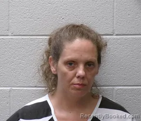 Mugshot of TIFFANY CRYSTAL ALLISON booked in Henderson County, North Carolina on June 29, 2026