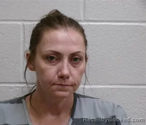 Mugshot of JENNIFER ANN KITCHEN booked in Henderson County, North Carolina on June 27, 2026
