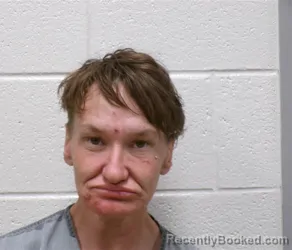 Mugshot of MATTIE EVELYN CRYSTAL ATKINS booked in Henderson County, North Carolina on April 4, 2026