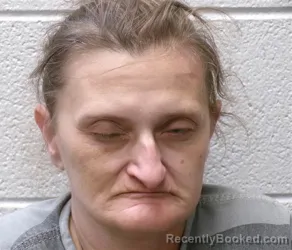 Mugshot of CHRISTA RACHELLE PIDCOCK booked in Henderson County, North Carolina on March 29, 2026