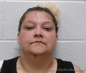 Mugshot of VERONICA HERNANDEZ booked in Henderson County, North Carolina on April 22, 2026
