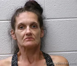 Mugshot of Chelsey Dawn Waddell booked in Henderson County, North Carolina on September 15, 2026