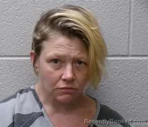 Mugshot of SARA BETH PRESSLEY booked in Henderson County, North Carolina on July 1, 2026