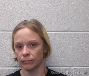 Mugshot of TELLA MICHELLE PRESSLEY booked in Henderson County, North Carolina on April 27, 2026