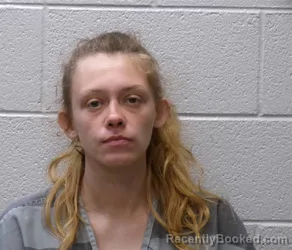 Mugshot of AMBER DAWN CASTILLO