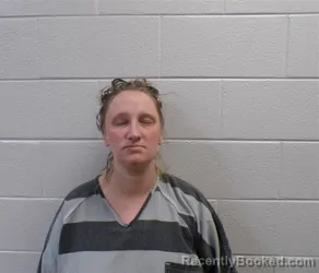 Mugshot of AMANDA MARIE BEVERIDGE booked in Henderson County, North Carolina on March 29, 2026