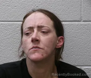 Mugshot of VANESSA ELIZABETH DOTSON
