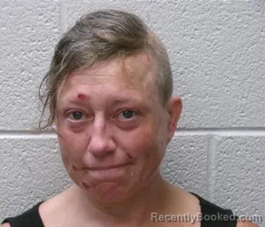 Mugshot of LAURA KRISTEN PRESSLEY booked in Henderson County, North Carolina on August 4, 2026