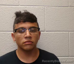 Mugshot of FERNANDO NATALIO ALVAREZ booked in Henderson County, North Carolina on July 10, 2026
