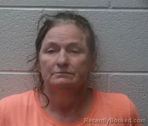Mugshot of Tammy Irene Walker booked in Henderson County, North Carolina on October 6, 2026