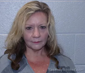 Mugshot of LISA JOHNSON MOORE