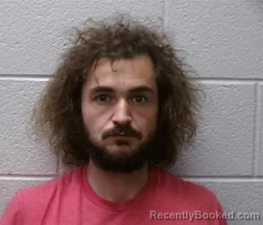 Mugshot of DILLON JAMES CURTIS booked in Henderson County, North Carolina on May 22, 2026