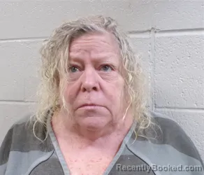 Mugshot of DEBRA JEAN DAVIS booked in Henderson County, North Carolina on June 23, 2026