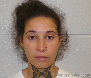 Mugshot of Savanna Nicole Bradley booked in Henderson County, North Carolina on August 6, 2026