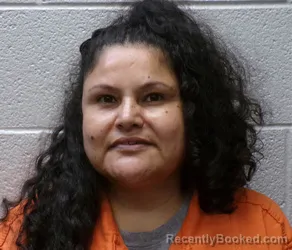 Mugshot of MARISELA MENDOZA CASILLAS