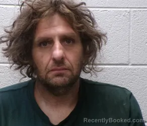 Mugshot of TRAVIS ALAN TEEARS booked in Henderson County, North Carolina on June 24, 2026