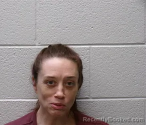 Mugshot of MELISSA MARIE SELIGER booked in Henderson County, North Carolina on July 4, 2026