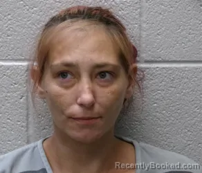 Mugshot of BRITTANY NICOLE FISHER booked in Henderson County, North Carolina on July 14, 2026